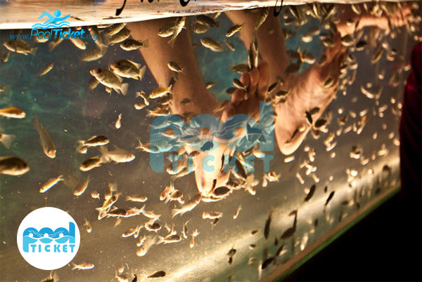 تصویر فیش اسپا استخر نشاط مشهد