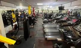 باشگاه بدنسازی پیمان مرادپور تهران اصلی 