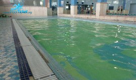 استحر شنا پنها تهران