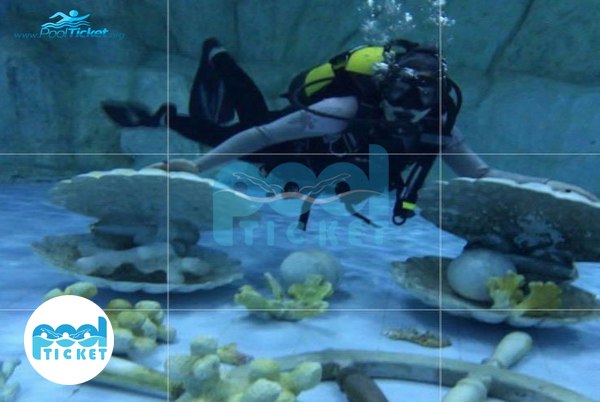 استخر غواصی دلفین سفید تبریز عکس