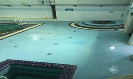 جکوزی استخر جهاد رشت عکس