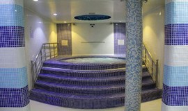 استخر دلفین آبی تهران