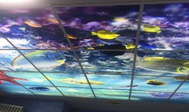  استخر هفت تیر ارومیه