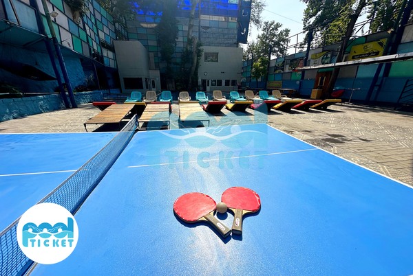 میز پینگ پنگ  استخر سرو جماران تهران عکس