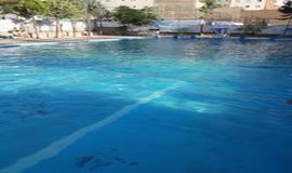  استخر روباز آقایان مجموعه ورزشی ایدم تبریز