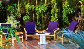 باغ استوایی وانا اسپا مشهد 