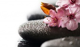 مرکز ماساژ ریلکسی آواجی تهران