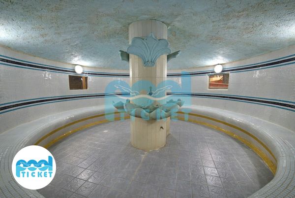 سونا بخار استخر دلفین سفید تبریز عکسها