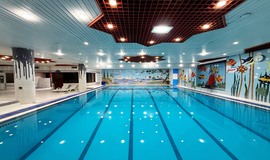 تصویر استخر شنا موج طلایی تهرانپارس