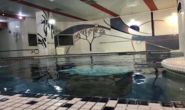 استخر مجموعه ورزشی بهارستان تهران