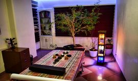 مرکز ماساژ فروزان تهران- پول تیکت