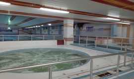 جکوزی مجموعه شهدای سردرود تبریز