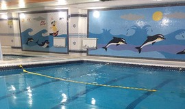 تصاویر استخر آبی بهار خزانه بخارایی تهران