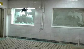 تصویر دوش استخر شریعتی کرج