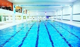 استخر صدف طلایی تهران