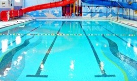 تصویر استخر دلفین شهر پرند