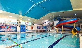 تصویر استخر دلفین پایگاه دریایی بوشهر