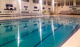 تصویر استخر نرجس شیراز