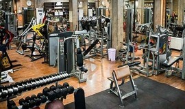 باشگاه بدنسازی راینوجیم نیشابور-پول تیکت باشگاه بدنسازی راینوجیم نیشابور