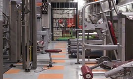 باشگاه بدنسازی هنرمندان تهران