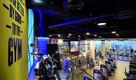  باشگاه بدنسازی روشا تهران