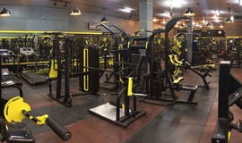 باشگاه بدنسازی ستارگان قم عکس‌ها