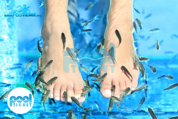 عکس اسپا پارک آبی ساحلی آفتاب مشهد