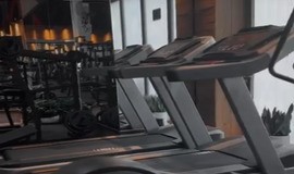  باشگاه بدنسازی جیم شارک تهران