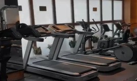  باشگاه بدنسازی جیم شارک تهران