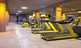 باشگاه بدنسازی شاهد تهران