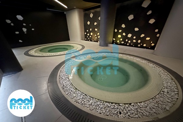 عکس‌های حوضچه آب سرد و جکوزی استخر هتل رکسان و رمیس تهران