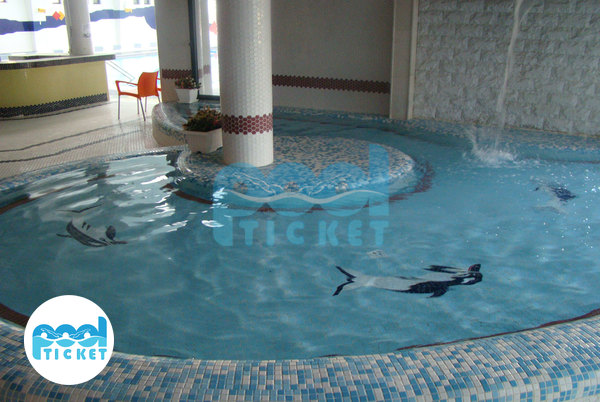  استخر بانوان آستان قدس مشهد تصاویر