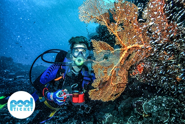 عکس استخر غواصی ساحلی آفتاب مشهد