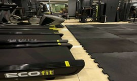 باشگاه آرنا بانوان (شعبه اشتراکی) کرج