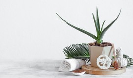 تصویر مرکز ماساژ طلا تهران