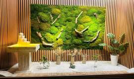 ماساژ رویان سلامتی-بلیط تخفیف ماساژ تهران