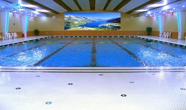 عکس استخر دلفین کرج