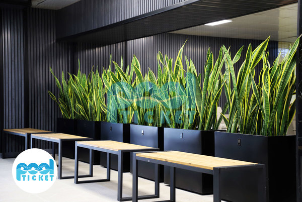 عکس سالن انتظار استخر تلاش تهران