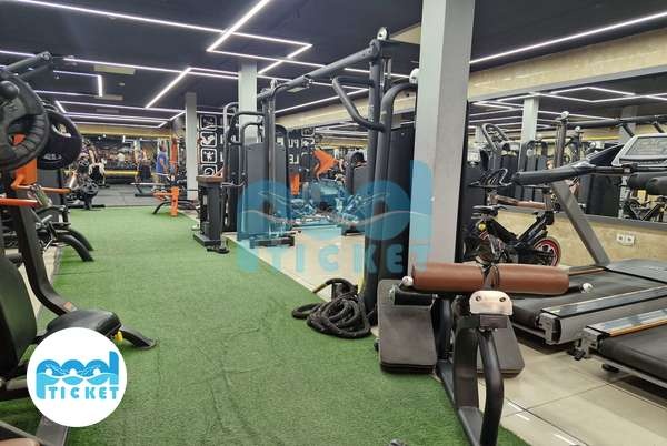 باشگاه بدنسازی تیم کرج تصاویر