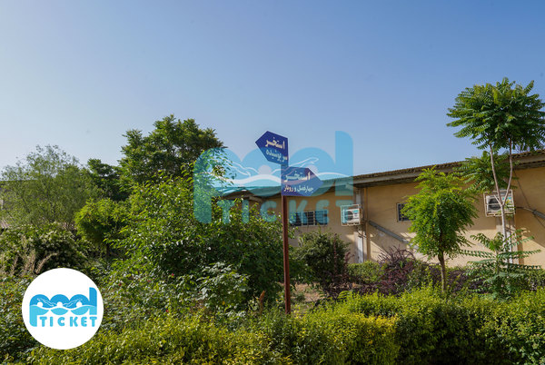 عکسها محوطه و فضای سبز استخر روباز و سرپوشیده پدیده کرج (انقلاب)