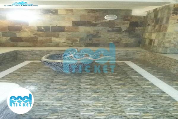 عکس سونا استخر دلفین ساری