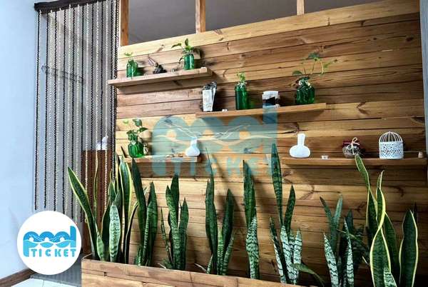 تصاویر مرکز ماساژ ویستا اسپا تهران