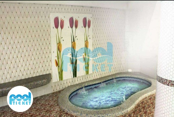 جکوزی استخر دلفین ساری عکسها