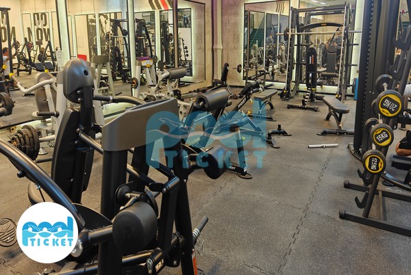 دستگاه بدنسازی مجموعه مرکز ماساژ آنتیک تهران (استاد حسن بنا)